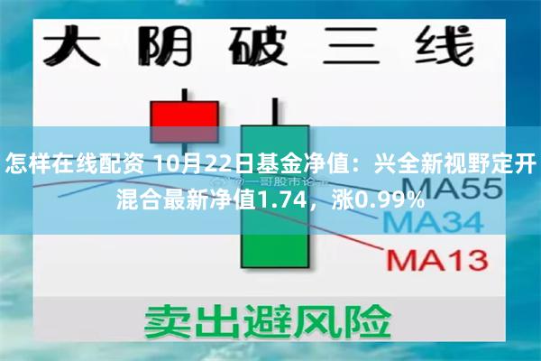 怎样在线配资 10月22日基金净值：兴全新视野定开混合最新净值1.74，涨0.99%