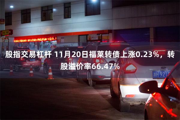 股指交易杠杆 11月20日福莱转债上涨0.23%，转股溢价率66.47%