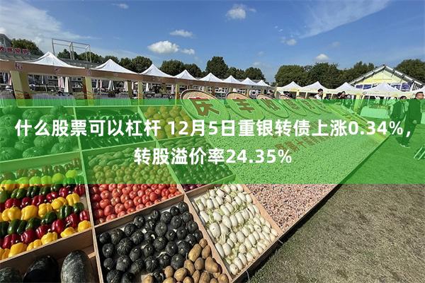 什么股票可以杠杆 12月5日重银转债上涨0.34%，转股溢价率24.35%