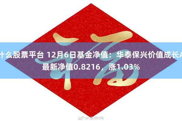 什么股票平台 12月6日基金净值：华泰保兴价值成长A最新净值0.8216，涨1.03%