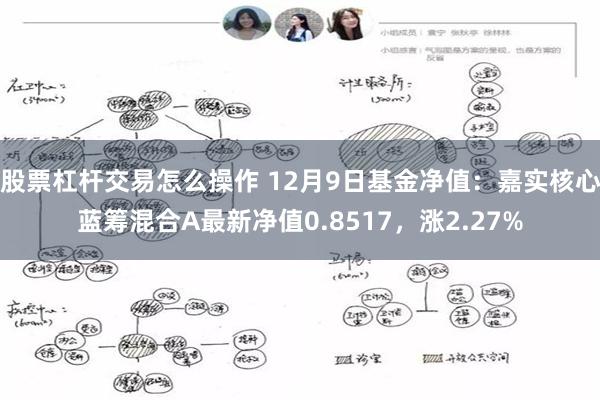 股票杠杆交易怎么操作 12月9日基金净值：嘉实核心蓝筹混合A最新净值0.8517，涨2.27%