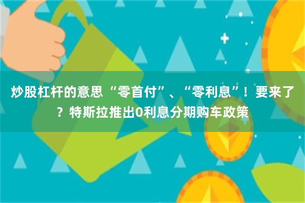 炒股杠杆的意思 “零首付”、“零利息”！要来了？特斯拉推出0利息分期购车政策