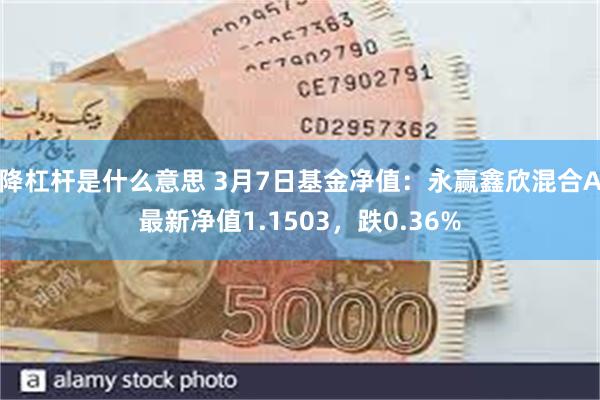 降杠杆是什么意思 3月7日基金净值：永赢鑫欣混合A最新净值1.1503，跌0.36%